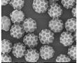 一种高尔夫球状PGMA-PS聚合物微球及其制备方法