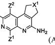 用于合成萘啶衍生物及其中间体的方法与流程